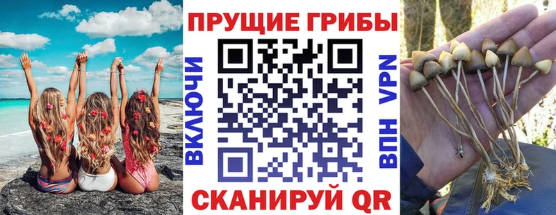 Псилоцибиновые грибы Magic Shrooms  Новомичуринск 