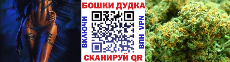 наркотики  Новомичуринск  Бошки Шишки планчик 